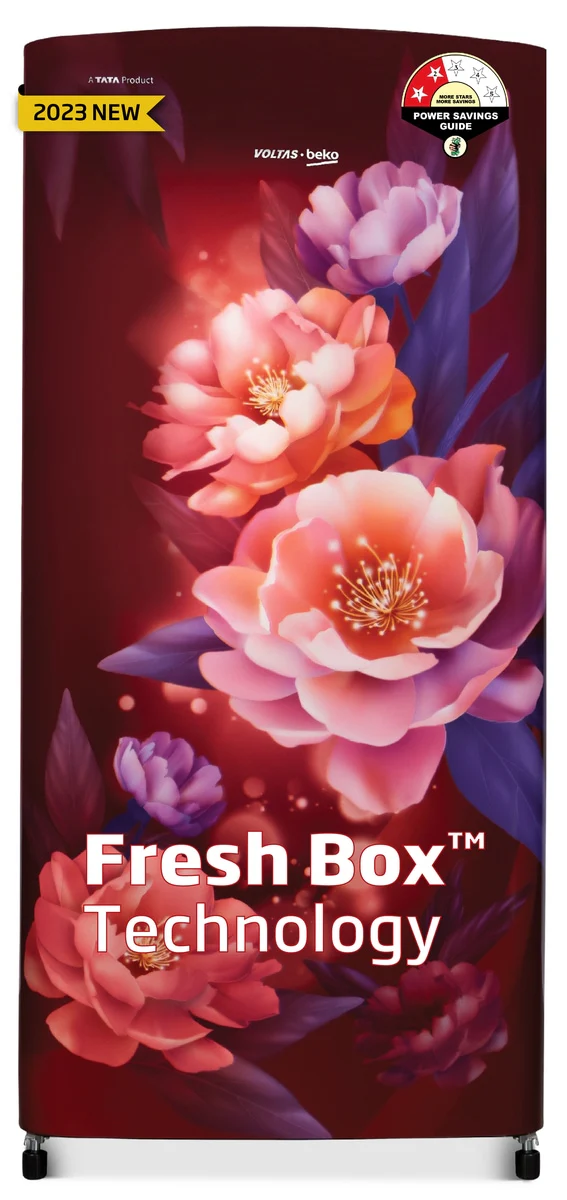 173 L 2 Star Direct cool Refrigerator Appliance (RDC205D / S0PWR0M0000GO, Peony Wine) , Voltas Beko, A Tata Product - Image 10